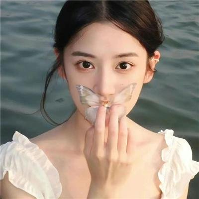 白鲸奇遇记
